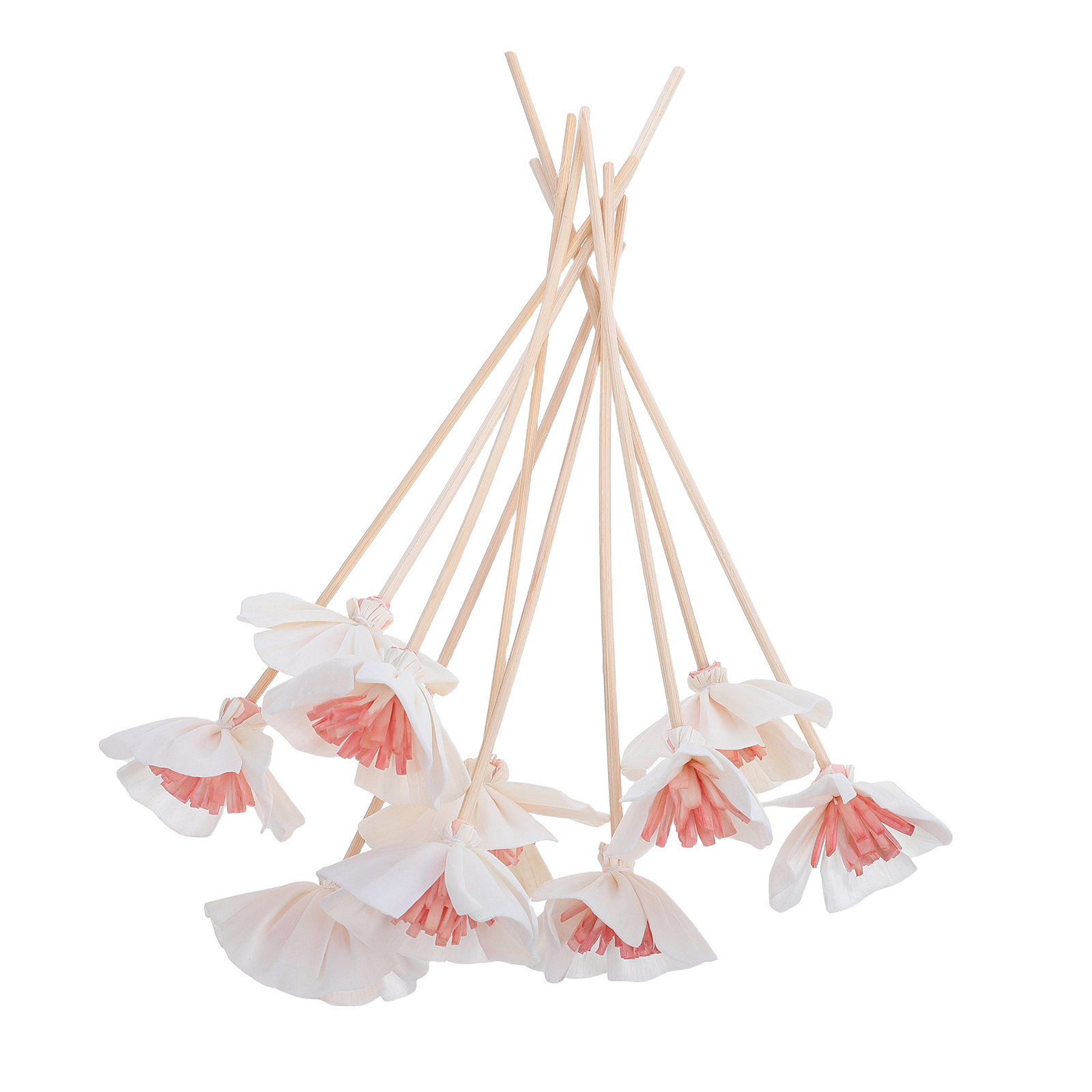 Home Fragrance Oils For Diffusers - 10개입 에센셜 오일 디퓨저 스틱 블랙