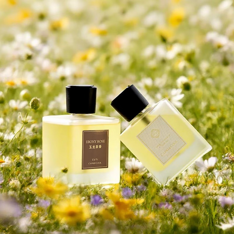 홈 거실 신선한 향기 에어 프레셔너 탈취제 향수 에센셜 - Home Fragrance Room Spray 리뷰 및 가격