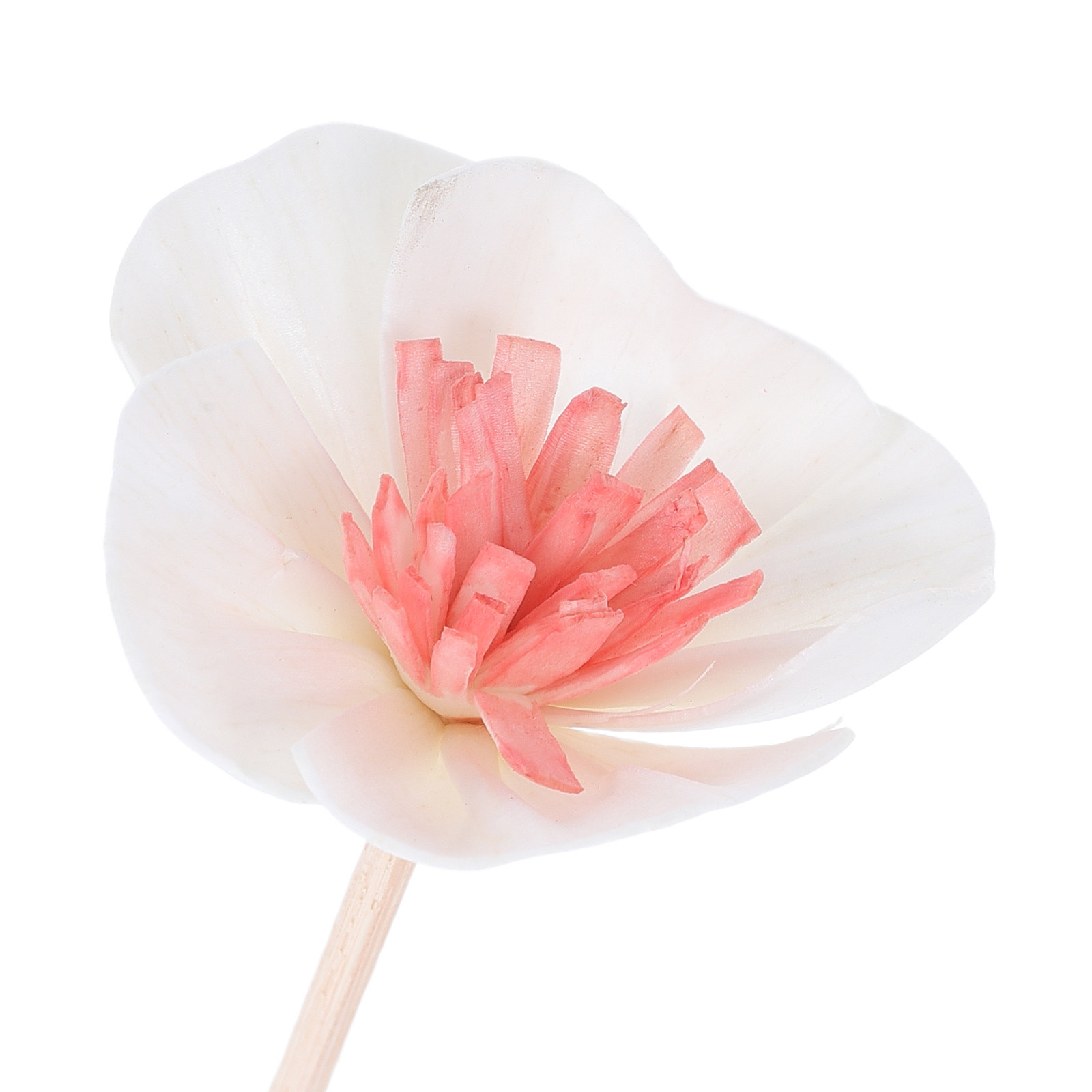 10개입 에센셜 오일 디퓨저 스틱 블랙 다공성 섬유 지 - Home Fragrance Oils For Diffusers 리뷰 및 가격