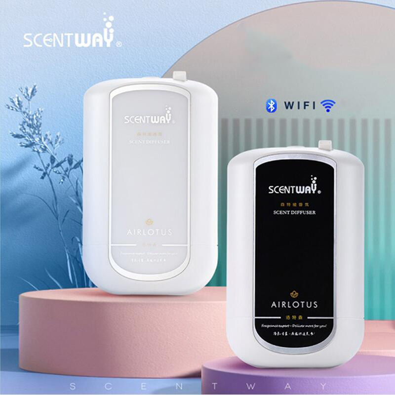 퓨어 에센셜 오일 아로마 디퓨저 USB 지능형 아로마  - Home Fragrance Oils For Diffusers 리뷰 및 가격
