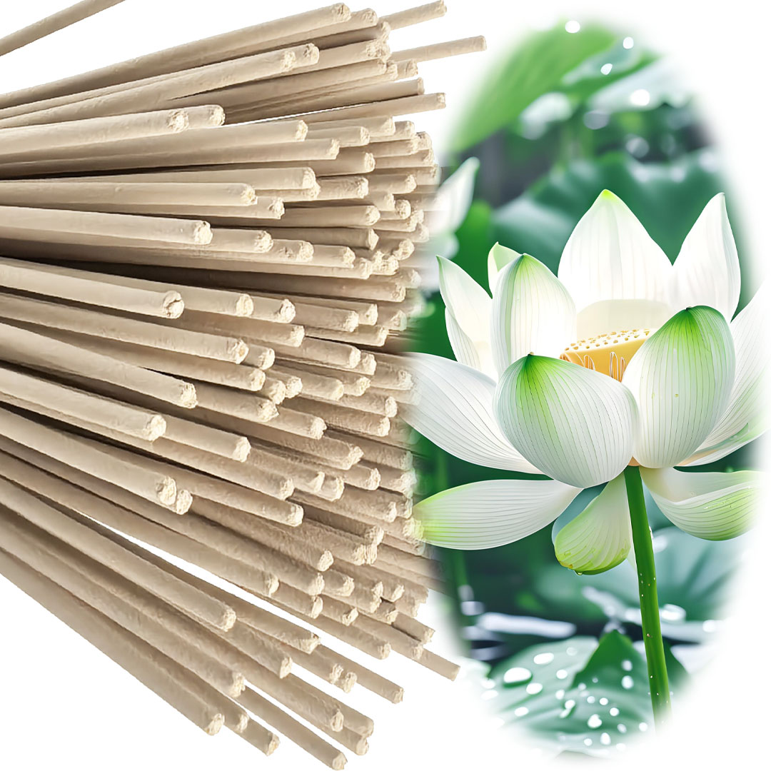 고품질 오프화이트 8.7인치 백련향, 천연 재료로 제작 - Smokeless Incense Stick 리뷰 및 가격