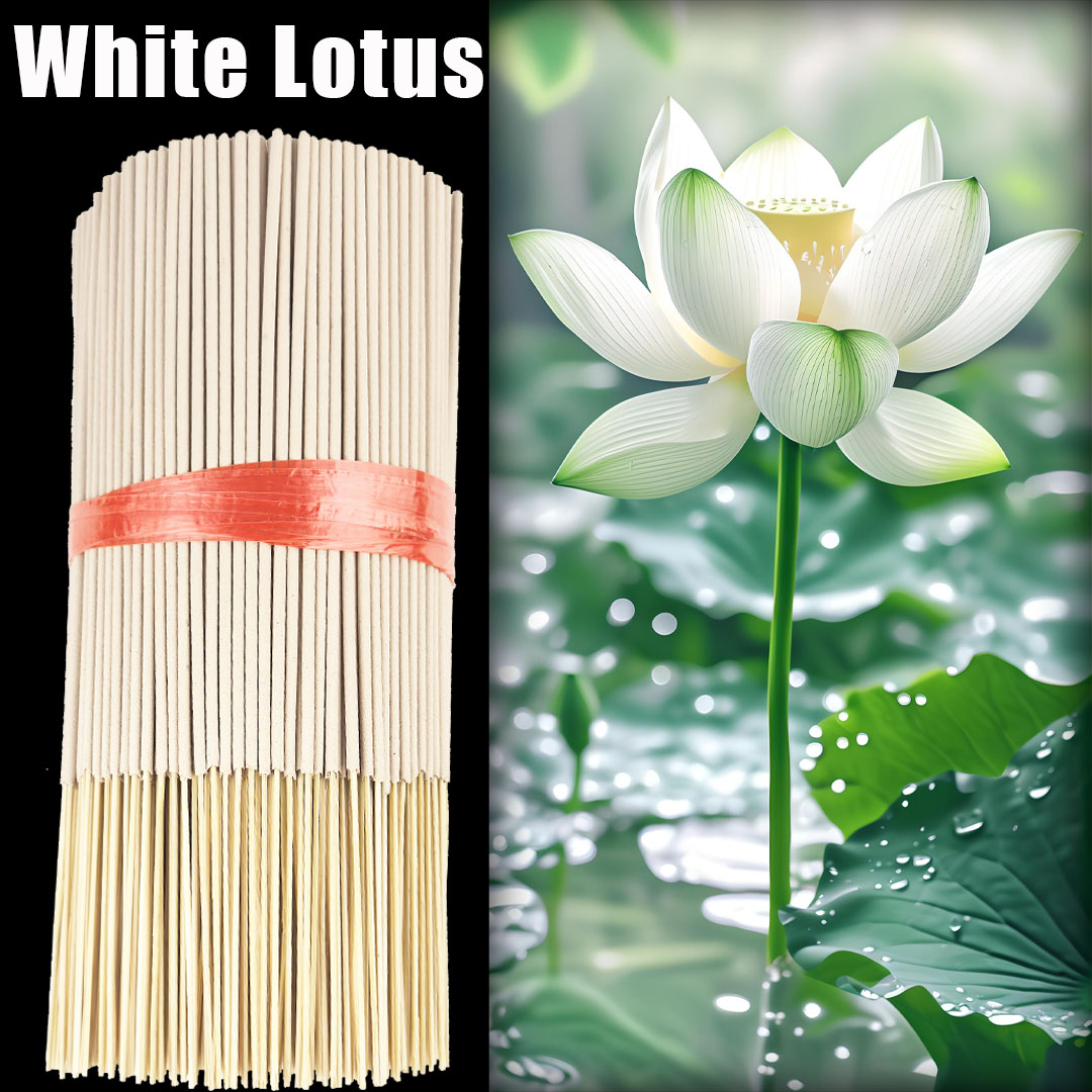 고품질 오프화이트 8.7인치 백련향, 천연 재료로 제작 - Smokeless Incense Stick 리뷰 및 가격